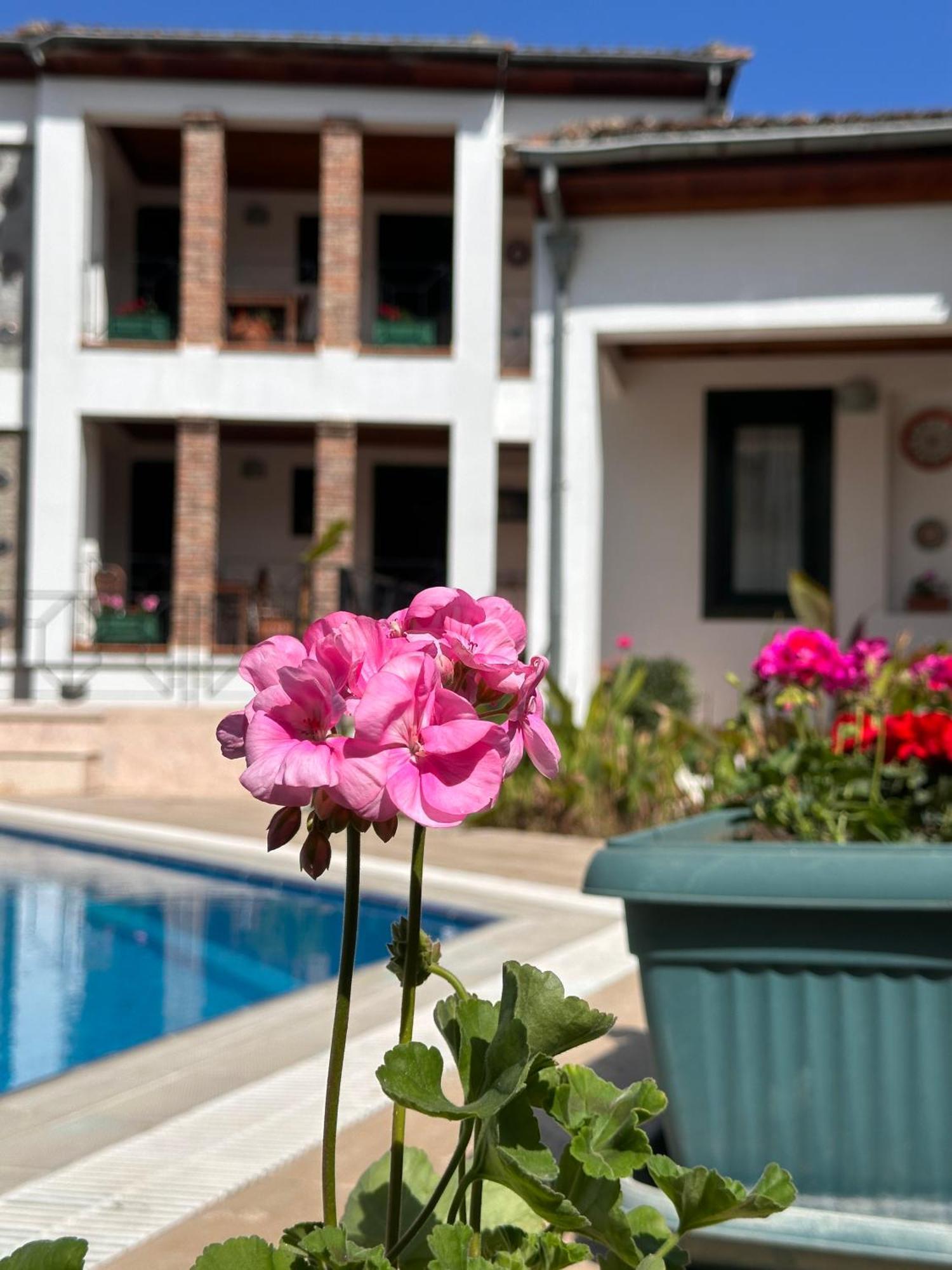 Akay Hotel Selcuk Exterior photo